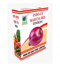 Onion Indo US Mahuva Red